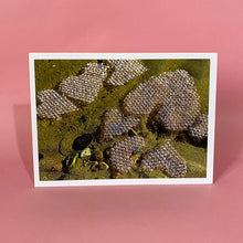 Load image into Gallery viewer, PALE PINK BUBBLES
